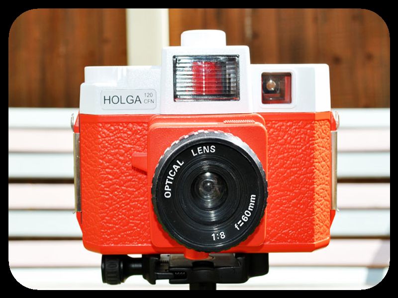 Holga 120 Camera