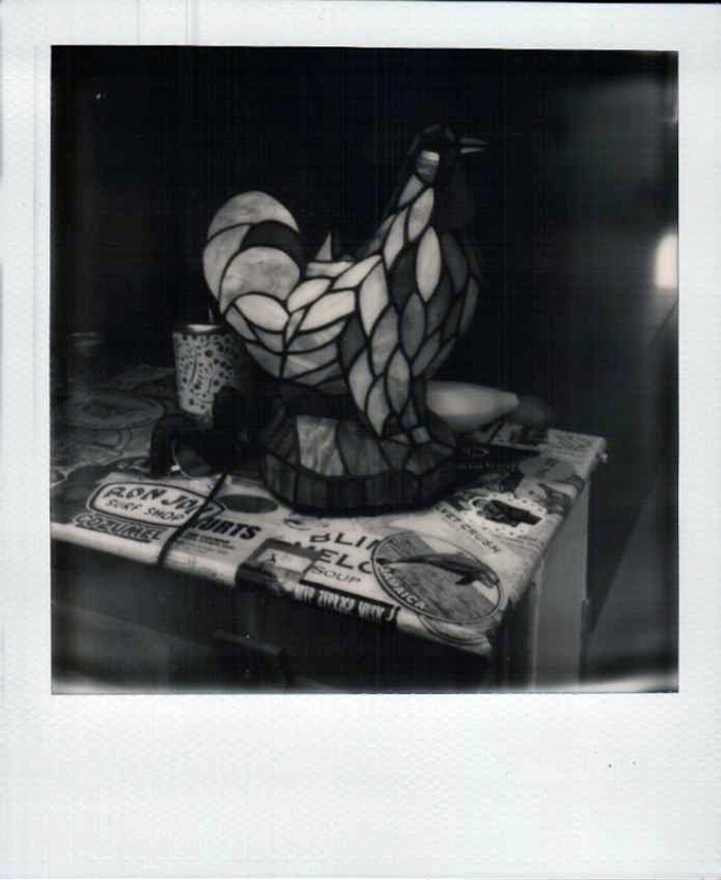 Cock Impossible B&W 600