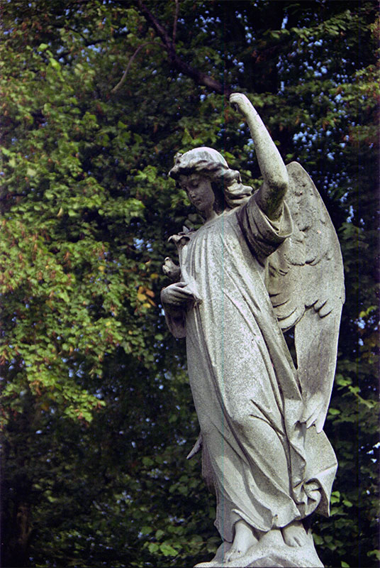 Angel shot with a Canon A1